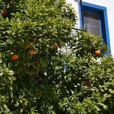 Hotel Centrale Bodrum
